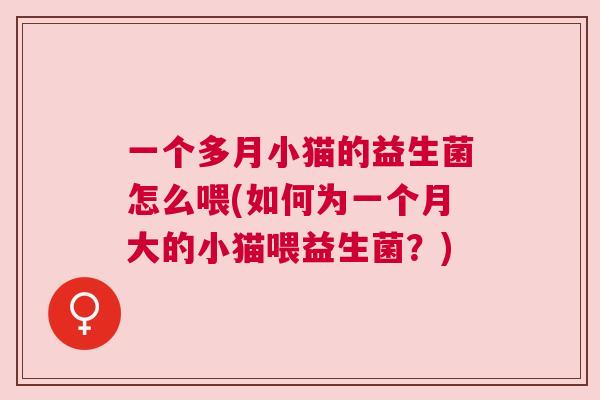 一个多月小猫的益生菌怎么喂(如何为一个月大的小猫喂益生菌？)
