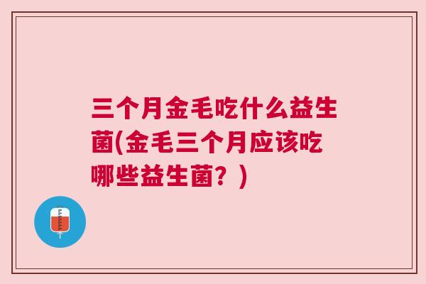 三个月金毛吃什么益生菌(金毛三个月应该吃哪些益生菌？)