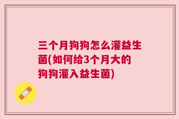 三个月狗狗怎么灌益生菌(如何给3个月大的狗狗灌入益生菌)