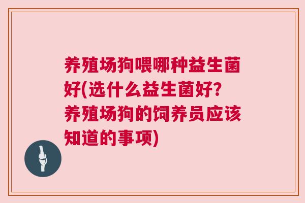 养殖场狗喂哪种益生菌好(选什么益生菌好？养殖场狗的饲养员应该知道的事项)