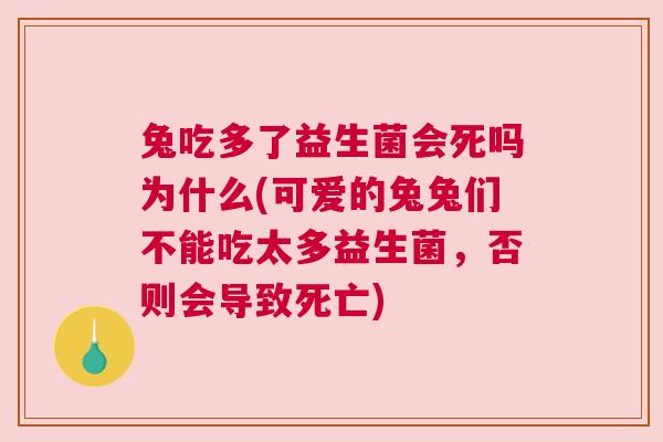 兔吃多了益生菌会死吗为什么(可爱的兔兔们不能吃太多益生菌，否则会导致死亡)