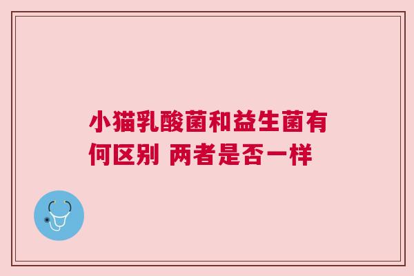 小猫乳酸菌和益生菌有何区别 两者是否一样