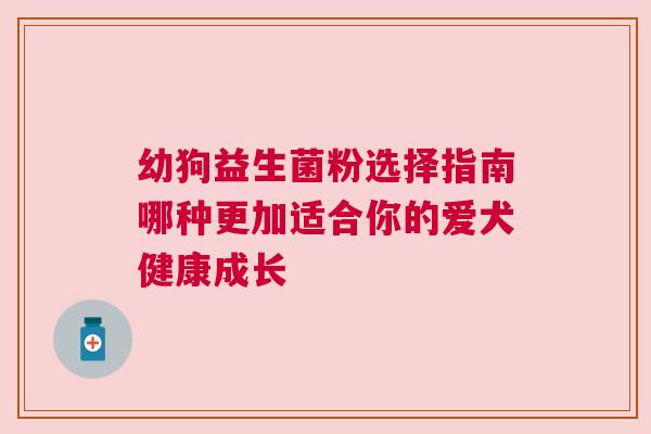 幼狗益生菌粉选择指南哪种更加适合你的爱犬健康成长