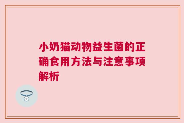 小奶猫动物益生菌的正确食用方法与注意事项解析