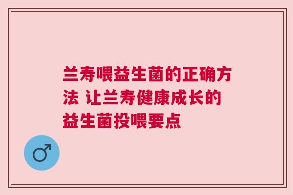 兰寿喂益生菌的正确方法 让兰寿健康成长的益生菌投喂要点