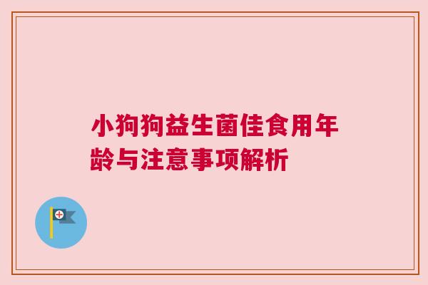 小狗狗益生菌佳食用年龄与注意事项解析