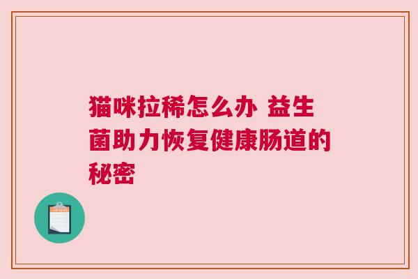 猫咪拉稀怎么办 益生菌助力恢复健康肠道的秘密