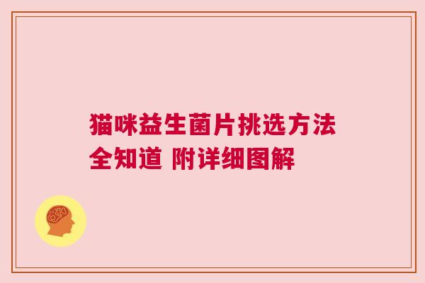 猫咪益生菌片挑选方法全知道 附详细图解