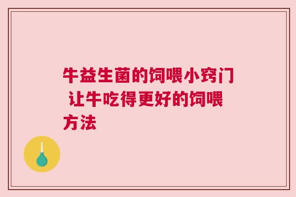 牛益生菌的饲喂小窍门 让牛吃得更好的饲喂方法