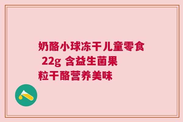 奶酪小球冻干儿童零食 22g 含益生菌果粒干酪营养美味