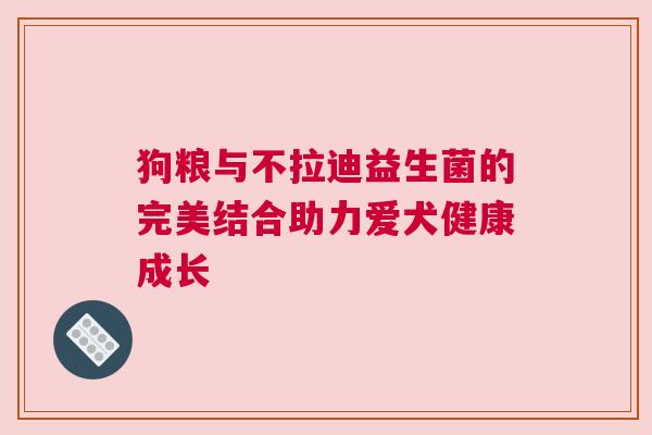 狗粮与不拉迪益生菌的完美结合助力爱犬健康成长