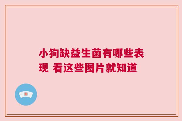 小狗缺益生菌有哪些表现 看这些图片就知道