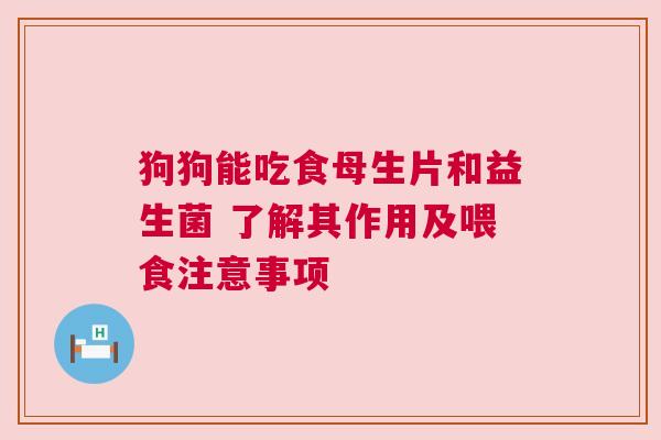 狗狗能吃食母生片和益生菌 了解其作用及喂食注意事项