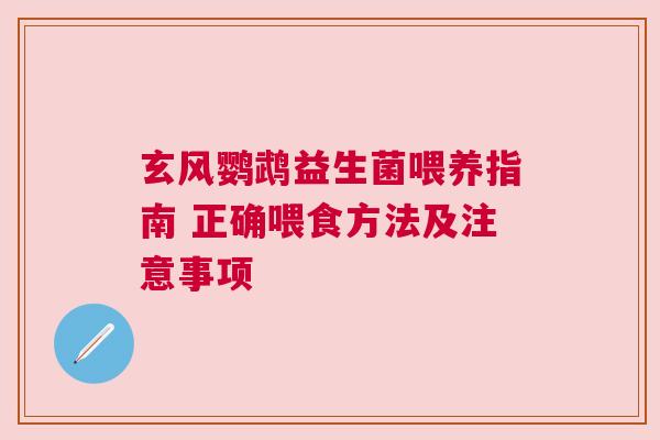 玄风鹦鹉益生菌喂养指南 正确喂食方法及注意事项