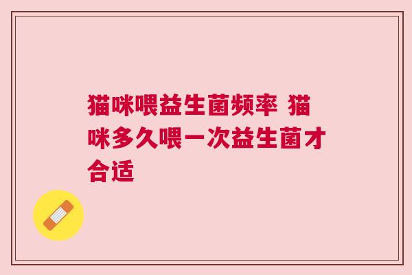 猫咪喂益生菌频率 猫咪多久喂一次益生菌才合适