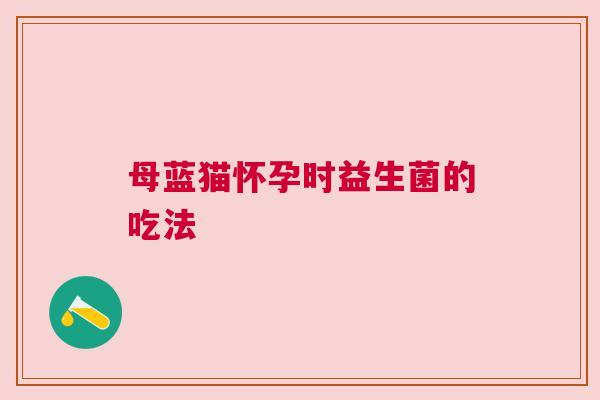 母蓝猫怀孕时益生菌的吃法