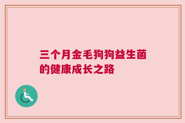 三个月金毛狗狗益生菌的健康成长之路