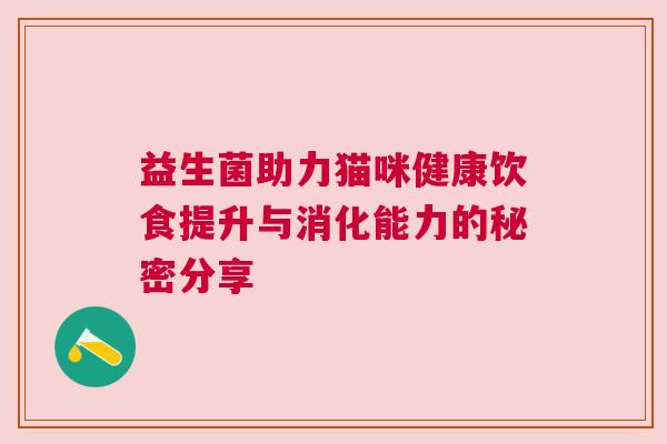 益生菌助力猫咪健康饮食提升与消化能力的秘密分享