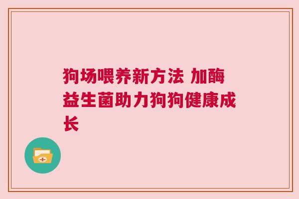 狗场喂养新方法 加酶益生菌助力狗狗健康成长