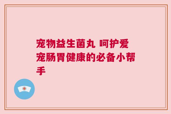 宠物益生菌丸 呵护爱宠肠胃健康的必备小帮手