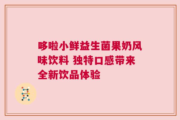 哆啦小鲜益生菌果奶风味饮料 独特口感带来全新饮品体验