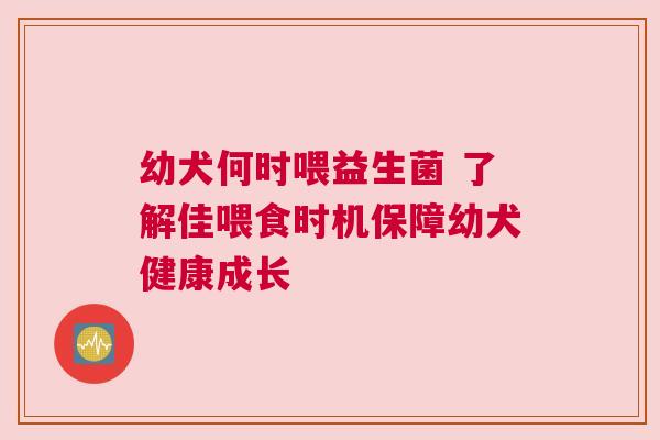 幼犬何时喂益生菌 了解佳喂食时机保障幼犬健康成长