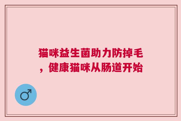 猫咪益生菌助力防掉毛，健康猫咪从肠道开始