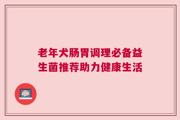 老年犬肠胃调理必备益生菌推荐助力健康生活
