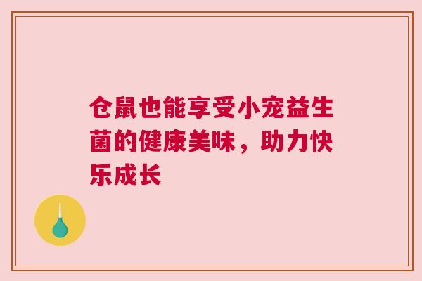 仓鼠也能享受小宠益生菌的健康美味，助力快乐成长