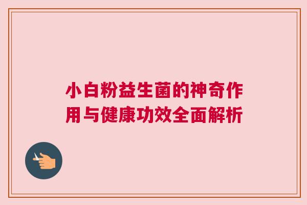 小白粉益生菌的神奇作用与健康功效全面解析