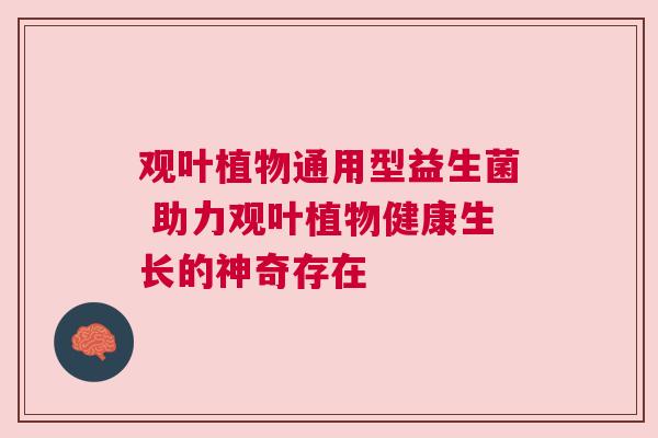观叶植物通用型益生菌 助力观叶植物健康生长的神奇存在