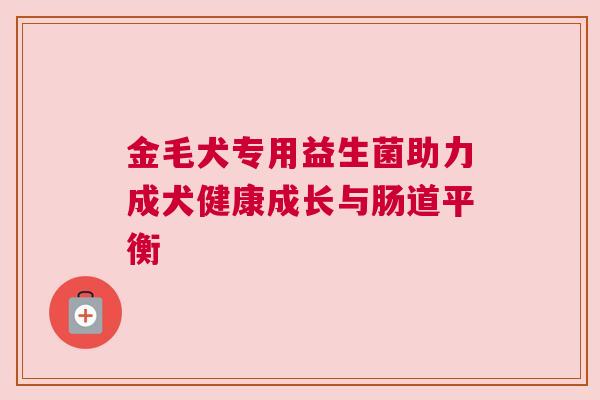 金毛犬专用益生菌助力成犬健康成长与肠道平衡