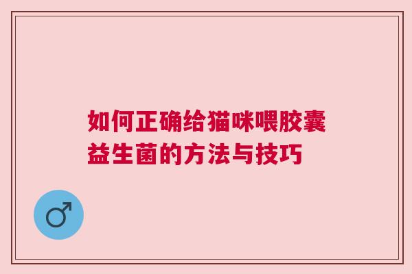 如何正确给猫咪喂胶囊益生菌的方法与技巧