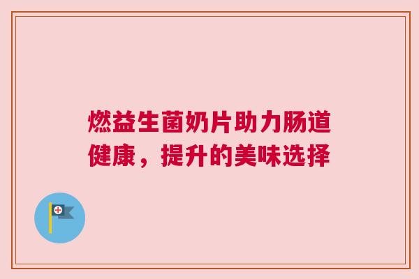 燃益生菌奶片助力肠道健康，提升的美味选择