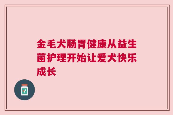 金毛犬肠胃健康从益生菌护理开始让爱犬快乐成长