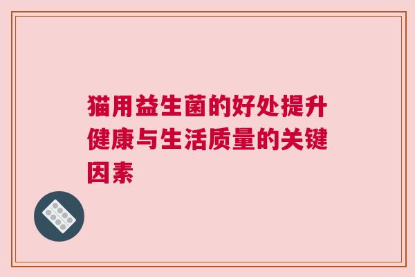 猫用益生菌的好处提升健康与生活质量的关键因素