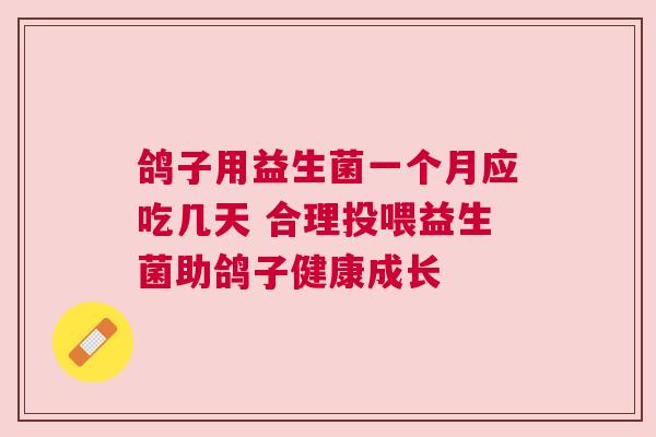 鸽子用益生菌一个月应吃几天 合理投喂益生菌助鸽子健康成长