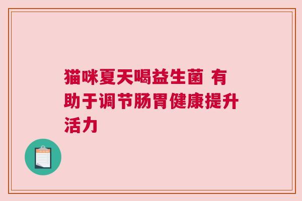 猫咪夏天喝益生菌 有助于调节肠胃健康提升活力