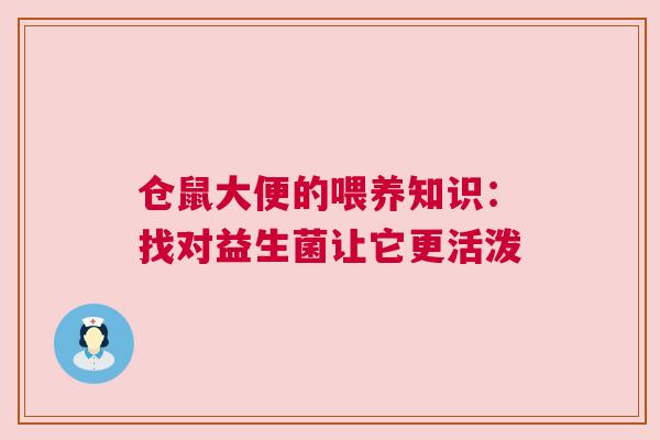 仓鼠大便的喂养知识：找对益生菌让它更活泼