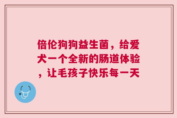 倍伦狗狗益生菌，给爱犬一个全新的肠道体验，让毛孩子快乐每一天