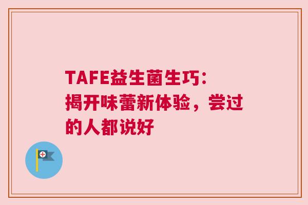 TAFE益生菌生巧：揭开味蕾新体验，尝过的人都说好