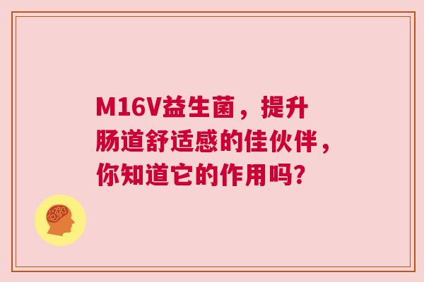 M16V益生菌，提升肠道舒适感的佳伙伴，你知道它的作用吗？