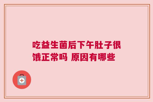 吃益生菌后下午肚子很饿正常吗 原因有哪些