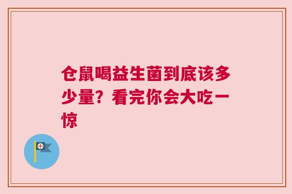 仓鼠喝益生菌到底该多少量？看完你会大吃一惊