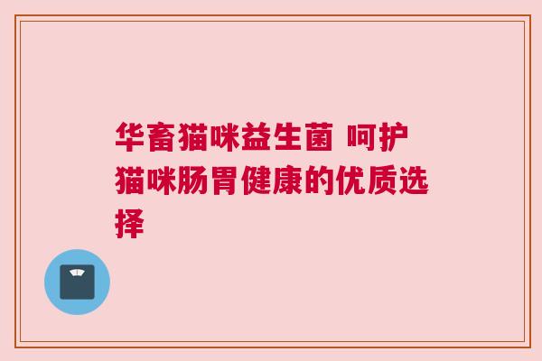 华畜猫咪益生菌 呵护猫咪肠胃健康的优质选择