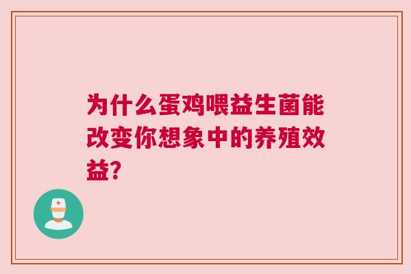为什么蛋鸡喂益生菌能改变你想象中的养殖效益？