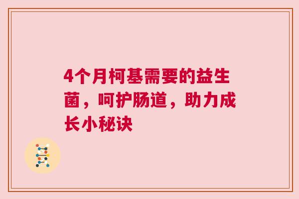 4个月柯基需要的益生菌，呵护肠道，助力成长小秘诀