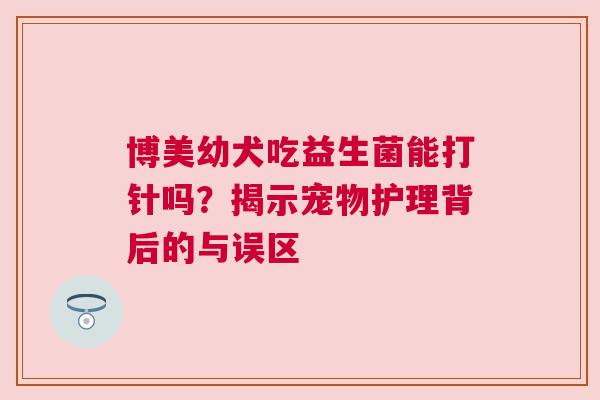 博美幼犬吃益生菌能打针吗？揭示宠物护理背后的与误区