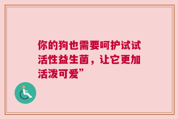 你的狗也需要呵护试试活性益生菌，让它更加活泼可爱”