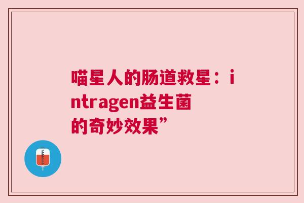 喵星人的肠道救星：intragen益生菌的奇妙效果”